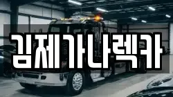 김제가나렉카