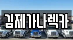 김제가나렉카