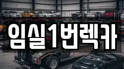 전북특별자치도 임실군 성수면 렉카, 특수렉카, 차량탁송, 견인운송