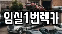 전북특별자치도 임실군 렉카, 특수렉카, 차량탁송, 견인운송