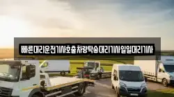 빠른대리운전기사호출차량탁송대리기사일일대리기사