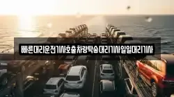 빠른대리운전기사호출차량탁송대리기사일일대리기사