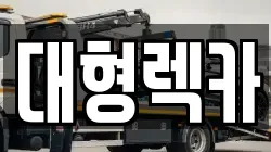 전북특별자치도 전주시 완산구 평화동3가 렉카, 특수렉카, 차량탁송, 견인운송