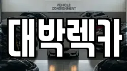 전북특별자치도 정읍시 부전동 렉카, 특수렉카, 차량탁송, 견인운송