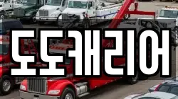 도도캐리어