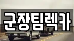 군장팀렉카