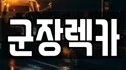 전북 군산시 대야면 렉카, 특수렉카, 차량탁송, 견인운송