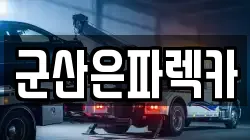 군산은파렉카