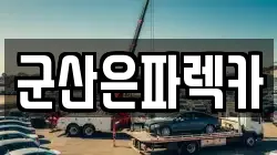 군산은파렉카
