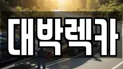 전북 김제시 서정동 렉카, 특수렉카, 차량탁송, 견인운송