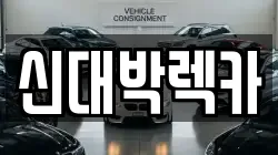 신대박렉카