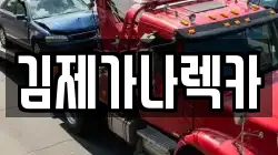 김제가나렉카