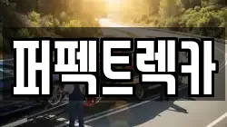 퍼펙트렉카