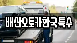 배산오토카한국특수