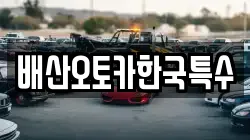 배산오토카한국특수