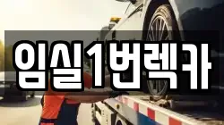전북 임실군 임실읍 렉카, 특수렉카, 차량탁송, 견인운송