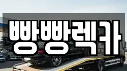 전북 전주시 덕진구 렉카, 특수렉카, 차량탁송, 견인운송
