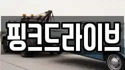 핑크드라이브