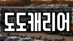 도도캐리어