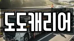 도도캐리어