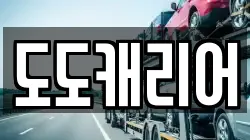 도도캐리어