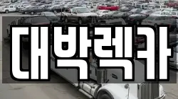 대박렉카