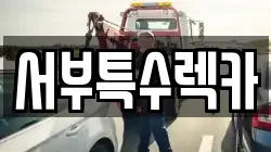 서부특수렉카