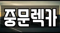 제주특별자치도 서귀포시 영남동 렉카, 특수렉카, 차량탁송, 견인운송