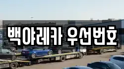 백야레카 우선번호