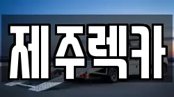 제주특별자치도 제주시 도남동 렉카, 특수렉카, 차량탁송, 견인운송