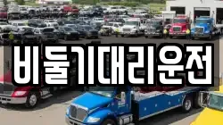 비둘기대리운전