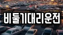 비둘기대리운전