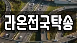 라온전국탁송