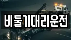 비둘기대리운전