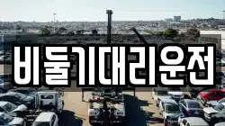 비둘기대리운전