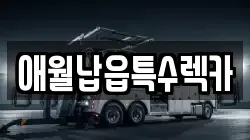 애월납읍특수렉카