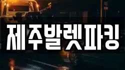 제주발렛파킹