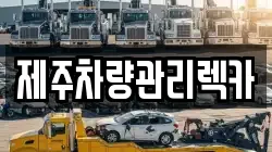 제주특별자치도 제주시 오라이동 렉카, 특수렉카, 차량탁송, 견인운송