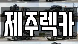 제주렉카