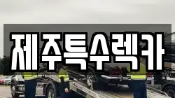 제주특수렉카
