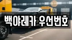 백야레카 우선번호