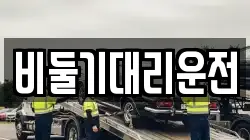 비둘기대리운전