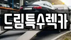 드림특수렉카