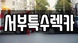 서부특수렉카