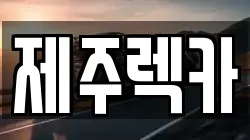 제주 서귀포시 성산읍 렉카, 특수렉카, 차량탁송, 견인운송