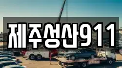 제주성산911