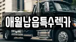 애월납읍특수렉카