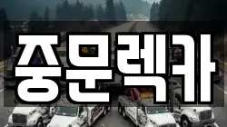 제주 서귀포시 월평동 렉카, 특수렉카, 차량탁송, 견인운송