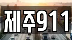 제주911