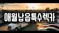 애월납읍특수렉카